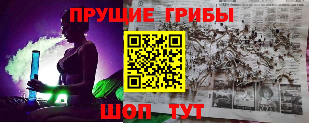 Галлюциногенные грибы Psilocybe Прокопьевск