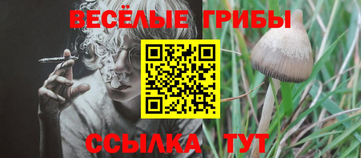 закладка  Псилоцибиновые грибы ЛСД  Вход с VPN  Прокопьевск 